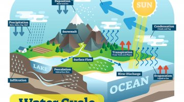 Water Cycle