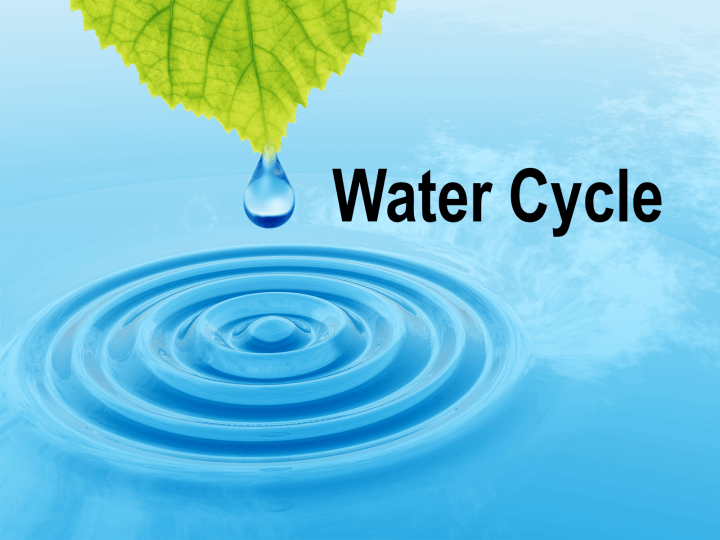 Water Cycle » Resources » Surfnetkids