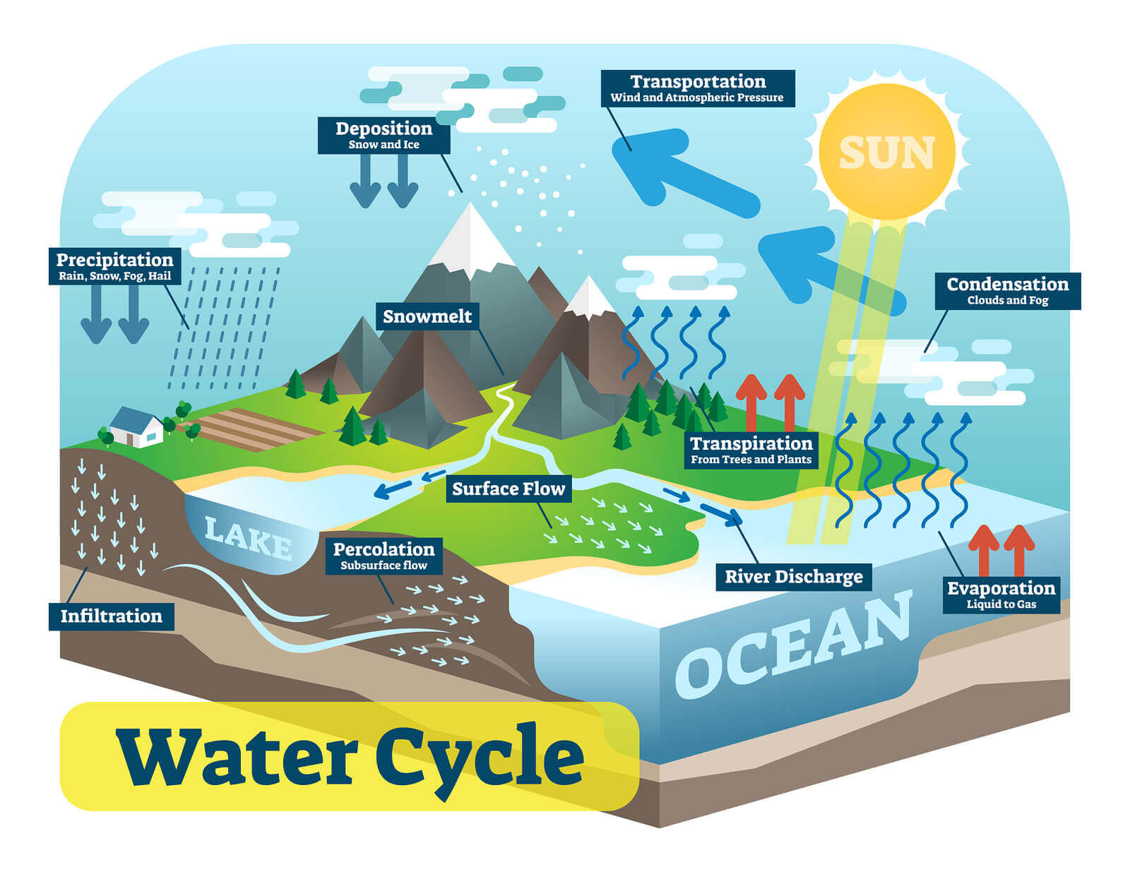 Collection Water Cycle In A Sentence