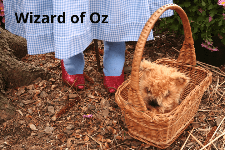 Wizard of Oz online resources