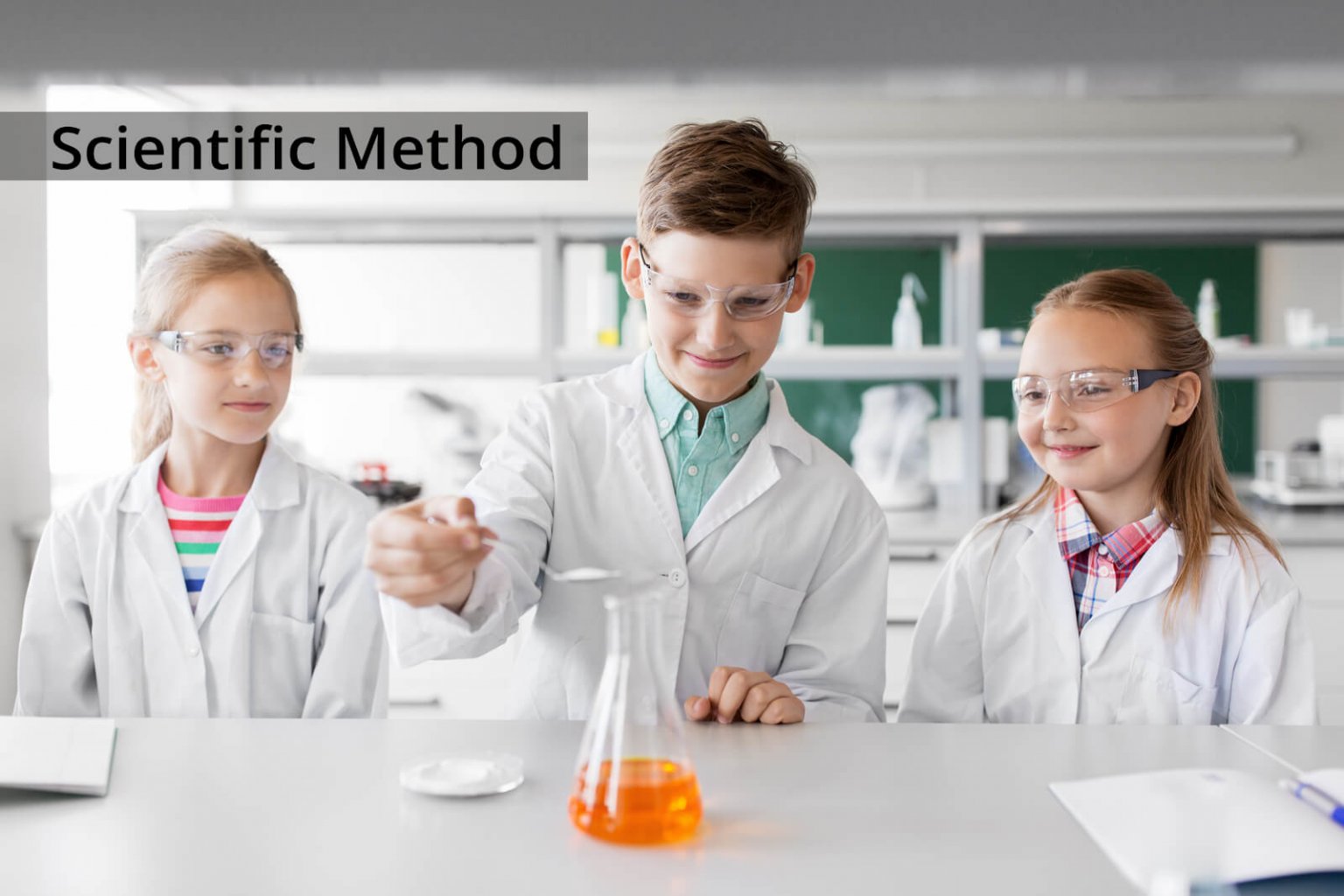 Scientific Method » Resources » Surfnetkids