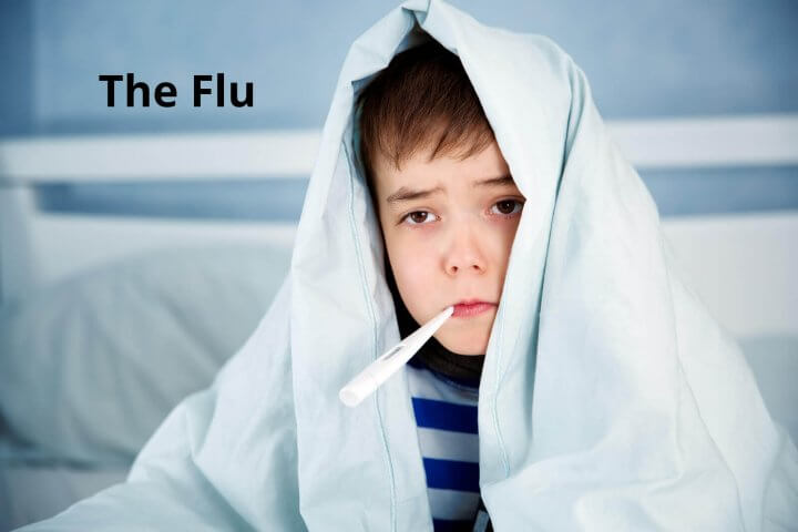 The Flu