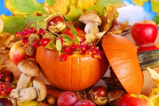 bigstock-Autumn-Harvest-In-The-Pumpkin-52468267